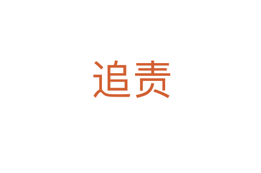 追责