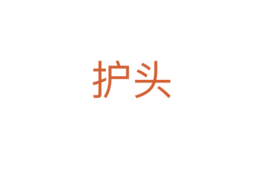 护头